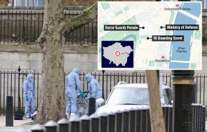 Knife, 29, Was Electrocuted A Few Yards From Downing Street After Colliding With Police Officers.