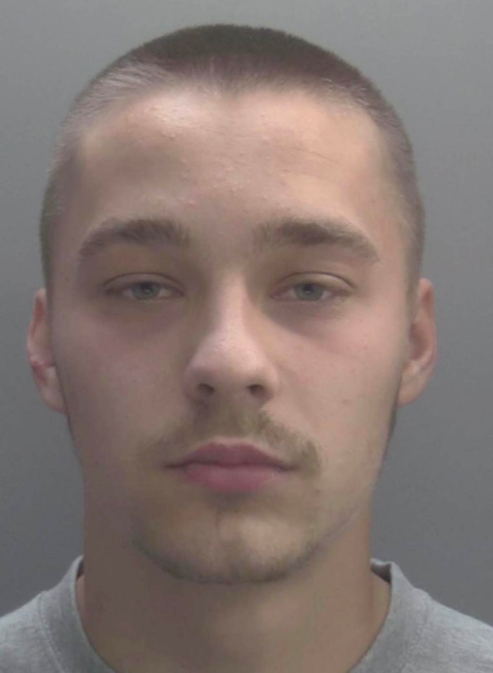 Bowskill, 20, Has Been Jailed, But His Sentence Will Be Seen As Too Lenient.