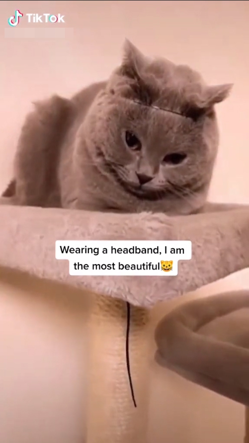 However, He Only Removed Two Of The 11 Clips We Highlighted.