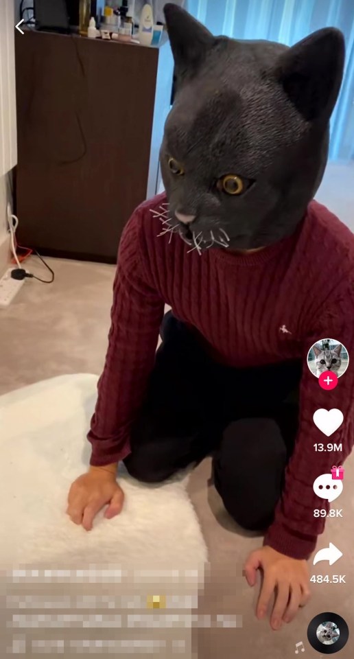 In Some Videos, The Owners Wore Giant Cat Masks To Scare Their Pets.