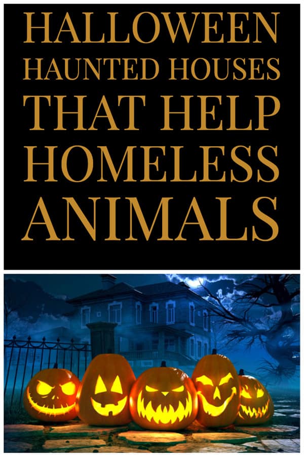Halloween haunted houses that help homeless animals.