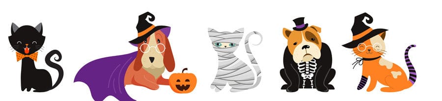 Halloween costume dog cartoon